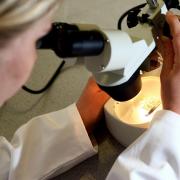 Fewer women in getting vital health screenings