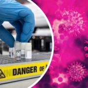 Coronavirus: 31 new cases confirmed in Dorset