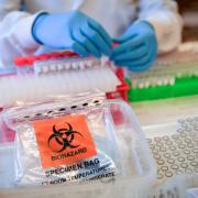 39 new coronavirus cases confirmed in Dorset