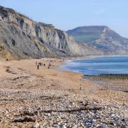 The Time-Expired Pyrotechnic (TEP) was found on Charmouth Beach