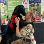 Member of the Armed Forces with service dog Logi. Picture: Service Dogs UK