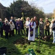 Rev Deb Smith planted  and blessed a Golden Hornet crab apple in the St Mary’s churchyard. Picture: Joe Hackett