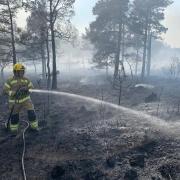 In May 2020 large areas of Wareham Forest were destroyed by a forest fire. Photo: Dorset & Wiltshire Fire and Rescue Service