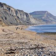 Plans for new Jurassic Coast museum - but where should it go?