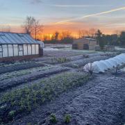 Photo of Charles Dowding's no dig garden in winter. See PA Feature GARDENING Allotment. Picture credit should read: Charles Dowding/PA. WARNING: This picture must only be used to accompany PA Feature GARDENING Allotment.