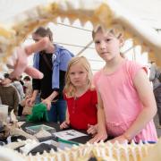 The Lyme Regis Fossil Festival attracted thousands of people to the seaside town last year but will not take place this year
