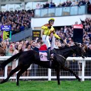 Galopin Des Champs won the Cheltenham Gold Cup