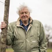Sir David Attenborough is believed to be visiting Dorset once again