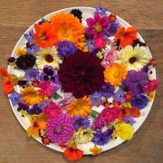 A talk will be given by Sian Davis of Incredible Edible Flowers