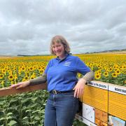 Hazel Hoskin, organiser of the sunflower trail