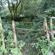 A RAMBLER fears west Dorset has lost access to a key part of its history after the council decided to extinguish a footpath. Pictured: the northern entrance to the bridleway