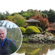 Charles Chesshire will be hosting a talk on Japanese gardens