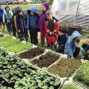 Children at Discover Farming can learn all about how their food is grown