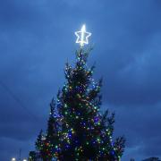 Christmas tree on the Harbour Green