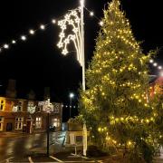 Beaminster's Christmas tree twinlkles in the Square