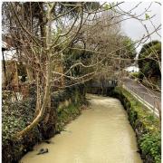 The River Lim turned yellow after works by South West Water disturbed clay and sediment