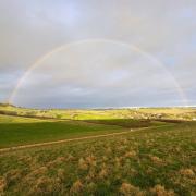 A rainbow over the newly planted hedge