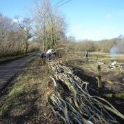 Hedge laying at Kingcombe Meadows