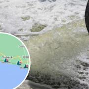 Sewage discharged on west Dorset coast after heavy rain