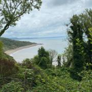 The South West Coast Path has reopened between Axmouth and Lyme Regis