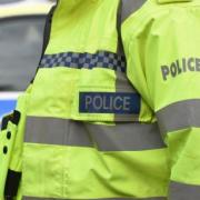 Dorset Police has issued a witness appeal after a dog attacked a flock of sheep near Broadwindsor