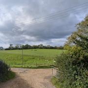 Mappercombe Farm at Nettlecombe has asked permission to change the use of agricultural buildings for commercial storage