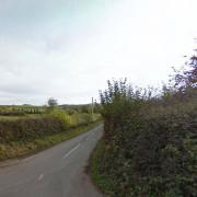 Looke Lane, Puncknowle will be closed between its junction with Springfield and its junction with Coxs Lane