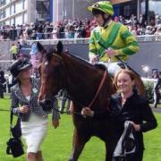 True stallion: Vortex, picture here at Royal Ascot in 2007, has been retired