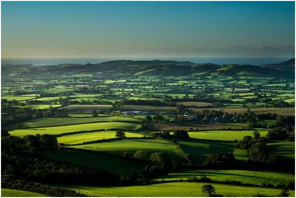 From Pilsdon Pen out across the Marshwood Vale towards the coast. you can see Colmers hill in the distance. Photo: Brendan Buesnel 