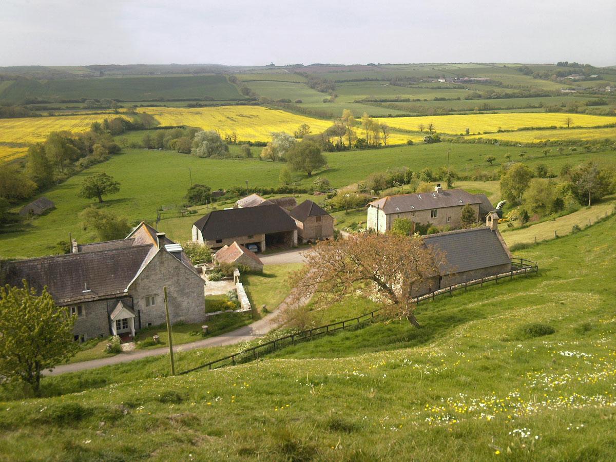 Corton Farm and St Bartholomew Chapel near Upwey. Picture by Mervyn Wright