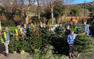 The sea scouts raised £800 by collecting used Christmas trees