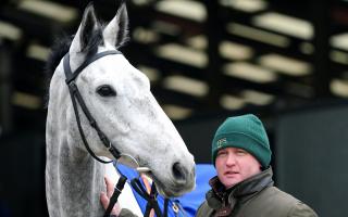 Eldorado Allen is Dorset's only hope in the 2024 Grand National this Saturday