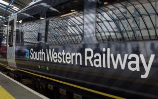 Disruption to train services caused by animals on the lines