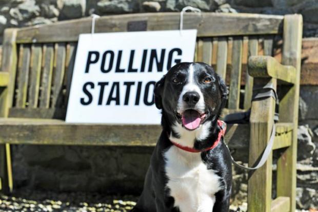 Bridport and Lyme Regis News: POLLING STATIONS FOR 2017 COUNCIL ELECTION Polling stations for the 2017 council election Pictured: Frank the dog outside Lindal polling station, Buccleuch Hall, the Green Lindal in Furness, Ulverston, Thursday 4th May 2017 LEANNE BOLGER